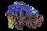 Sparkling Azurite and Malachite Crystal Cluster - Morocco #127519-2